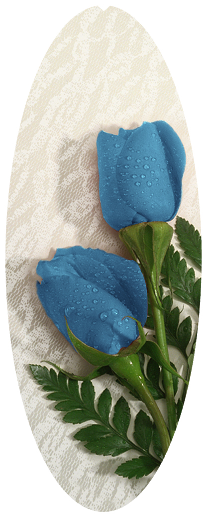 DNSA18-051 2 Roses Blue
